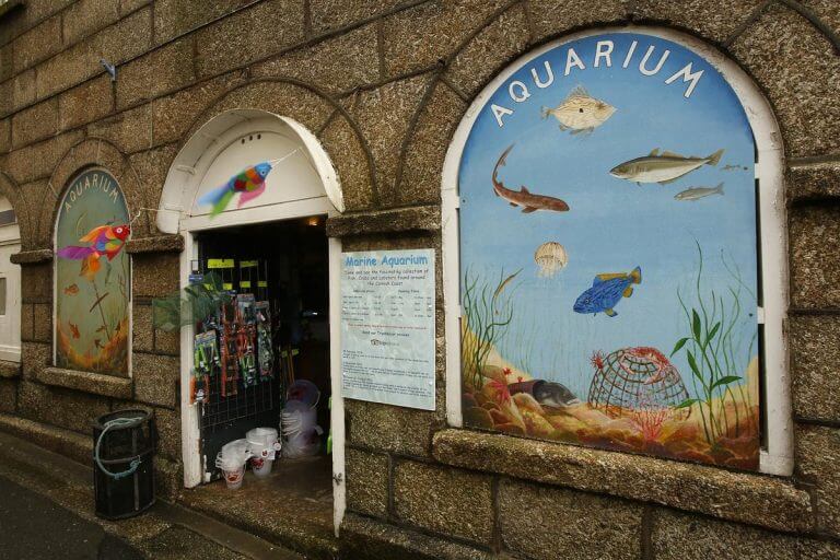 Fowey Aquarium - Cornwall Holiday Guide