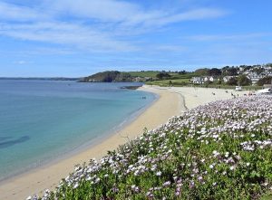 Gyllyngvase Beach - Cornwall Holiday Guide