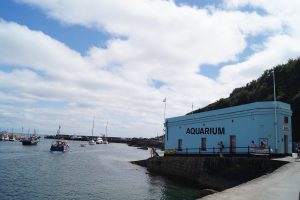 Mevagissey Aquarium - Cornwall Holiday Guide