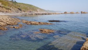 Millendreath Beach - Cornwall Holiday Guide