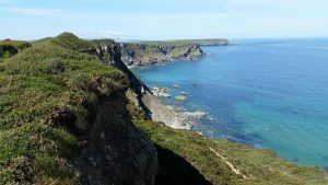 Mutton Cove - Cornwall Holiday Guide