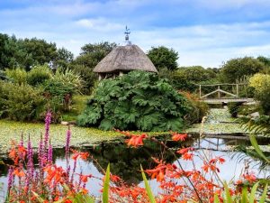 Tanglewood Wild Garden - Cornwall Holiday Guide