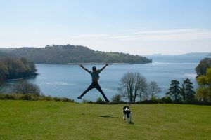 Trelissick- Cornwall Holiday Guide