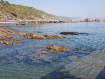Millendreath Beach - Cornwall Holiday Guide